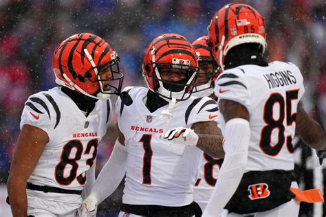 cincinnati bengals stats|cincinnati bengals record 2023.